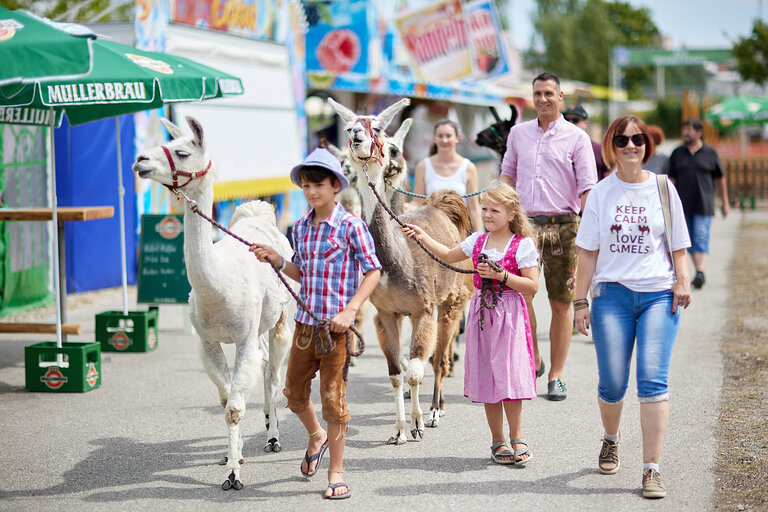 Neuöttinger Marktdult - Familientag & Tag der guten Nachbarschaft